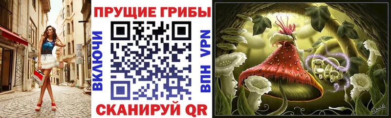 мориарти Telegram  mega онион  Уварово  Галлюциногенные грибы Psilocybe 